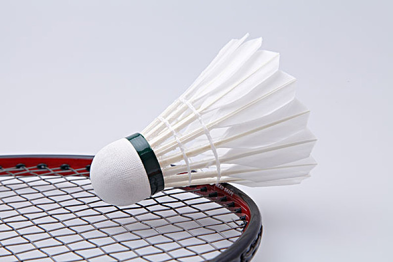 他们能成为 他们能成为