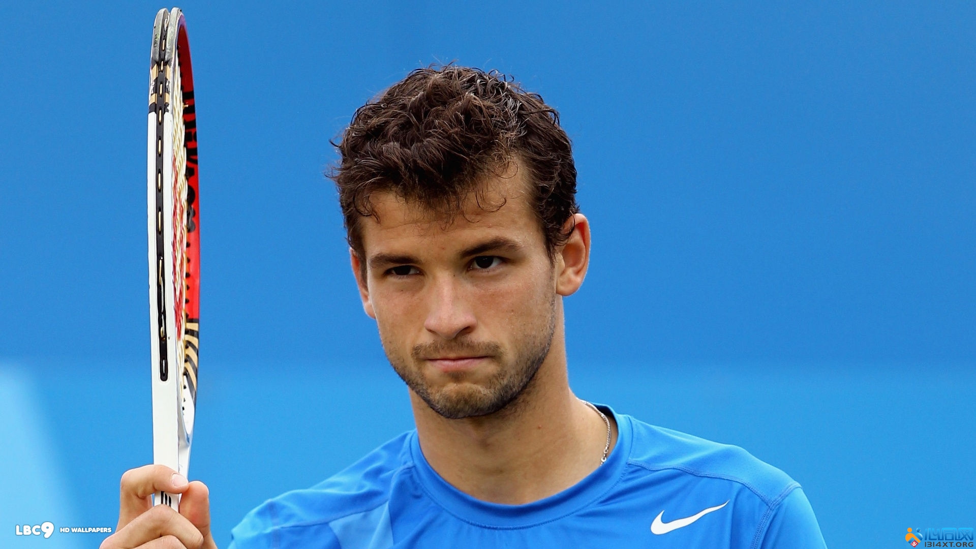 传达的精神 传达的精神