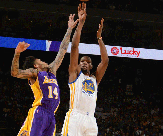 鸟权式续约 鸟权式续约